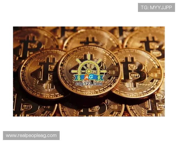 广东AG贵宾厅如何提升您的游戏等级与专属福利详尽攻略